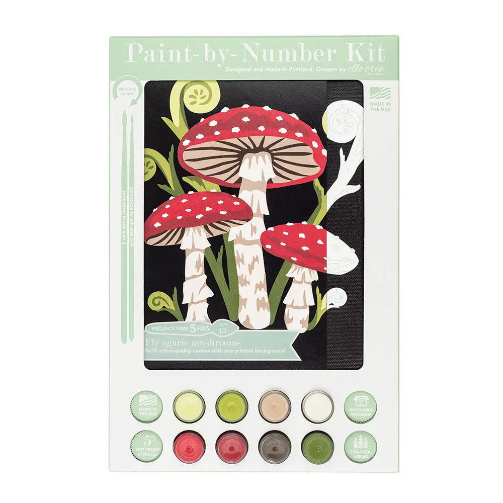 Paint by Number Kit