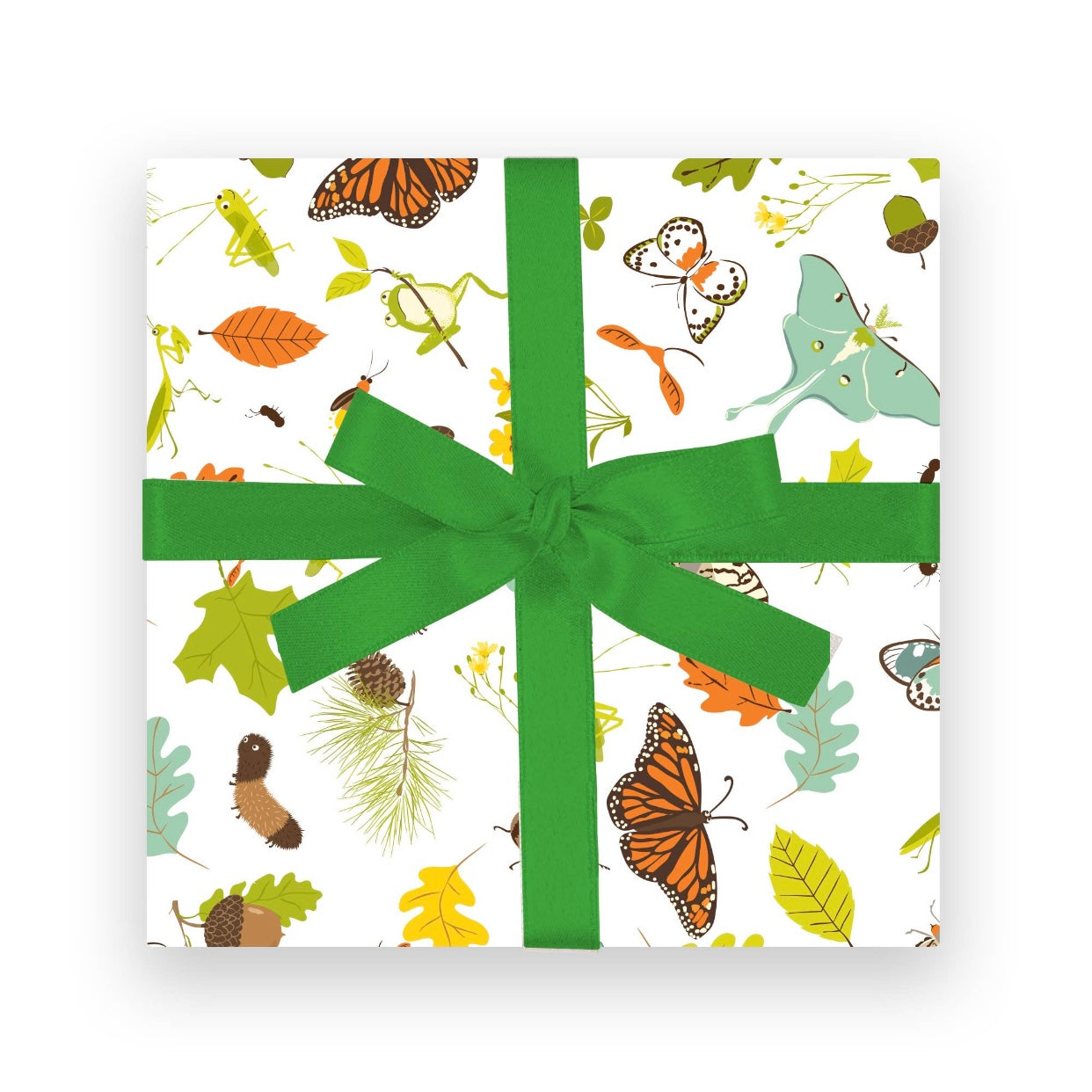 Gift Wrap- Nature Prints